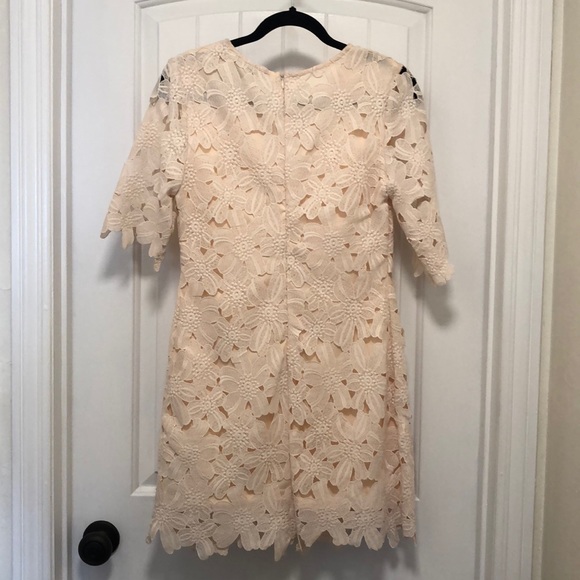 Forever 21 - Blush Lace Dress - Picture 5 of 13